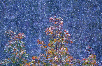 Первый снег, начало октября. / Первый снег, начало октября...
Листья золотом покрыться не успели,
Журавли, собравшись второпях,
К югу теплому, курлыча, полетели...

Ну а я все в зеркало смотрю, 
Уж оно то точно не обманет,
Там последний, белый снег лежит,
Тот, который никогда не тает.