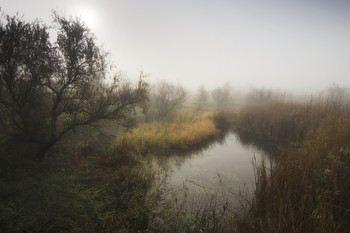 На старом озере / ***