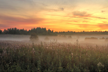 Вечер / сентябрь