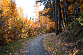 Дорогами осени / Красноярский край г.Железногорск