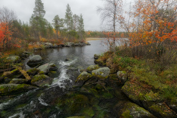 Осень на Ечозере / Заполярье, сеть лесных озер.