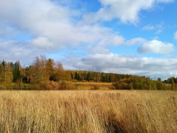 Осенний пейзаж / ***