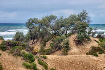 Штормит / Ветреный день на море