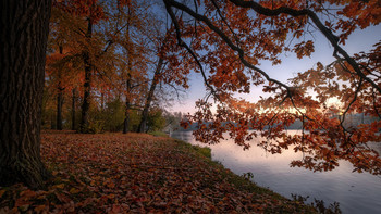 Что такое осень / Царское село