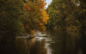 &nbsp; / Заглянула осень в воду