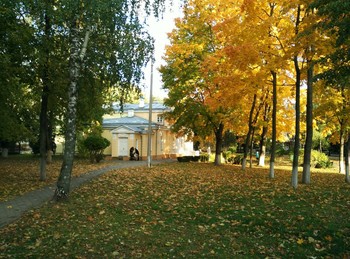 Осеннее счастье / Осень в старом парке