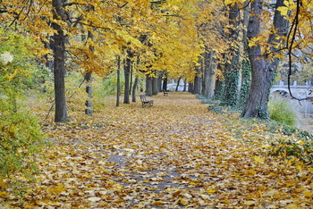 &nbsp; / Осенний парк