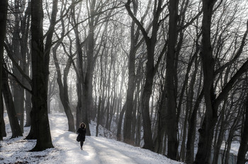 Винтертраумвег- Wintertraumweg / Buchenwald im Augsbuger Park