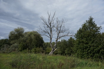 Мертвые среди живых / Luszhki-village, Istra-district, Moscow region, Russia