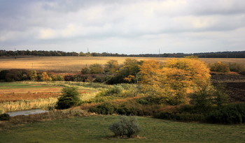 Шагает осень ... / Поля, деревья, осень...