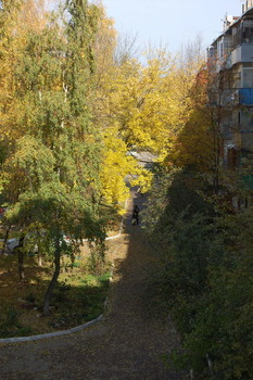 Осень на восточной окраине Калуги / Калуга, Турынино, снято на камеру мобильного телефона