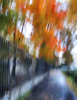 ПАН-ПЕТЕРБУРГ / Фотоимпрессионизм методом IСМ=Intentional Camera Movement (преднамеренное движение фотокамеры)