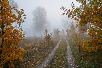 Октябрь / осень,туман,дорога