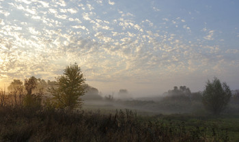 Осенний пейзаж / утро,туман