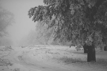 Дорога в туман / Зима на Лысой горе