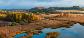 Осень в долине / Псковская область. Изборско-Мальская долина.