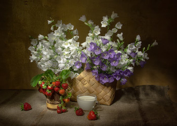 Динь....дон...лета перезвон... / Динь....дон...лета перезвон...