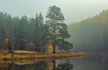 осенняя фоточка 3.0 / Город Лесной, 06 октября 2019 года от Р. Х.