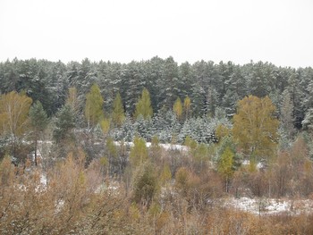 Октябрь во всей своей красе / Осенняя зима.