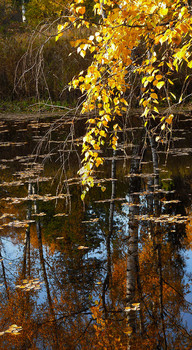 Октябрь во всей своей красе / Чёрный пруд