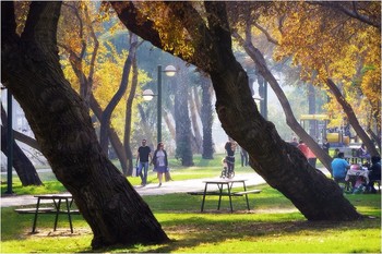 Октябрь во всей своей красе / Парк Яркон, Тель-Авив Израиль
Из серии &quot;пъяные деревья&quot;!