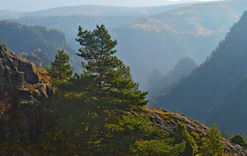 Утро в горах.... / КБР. Джилы-Су. Октябрь