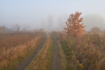 Дорога в осень / осень,дорога,туман