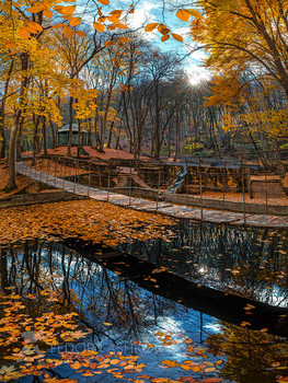 Осенняя листва / Бассейны холодного родника в Таманском лесу города Ставрополь. 
Из фотопроекта «Открывая Ставрополье».