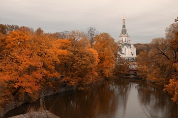&nbsp; / Золотая осень в Калининграде.