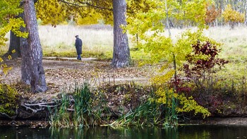Осень жизни, / как и осень года,
надо, не скорбя, благословить