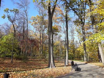 Октябрьские денечки / Октябрьские денечки - из листьев хоровод,