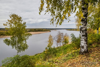 Позолота осени / Вятка