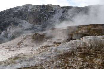 Это на планете Земля / США