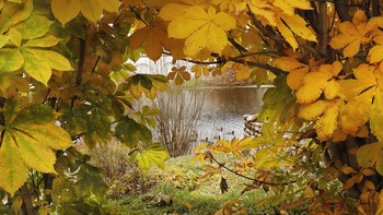 Золотая осень.... / Вологда, Прилуцкий монастырь, осенний яркий день.