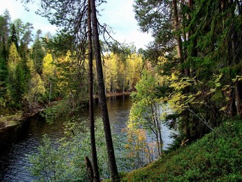 осенний лес / осенний лес,