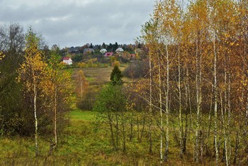 Осенний этюд ... / "Сгустились тучи. Ветер вновь наносит
 Прозрачный шум на кисти желтых крон.
 Я знаю - это все шаманка осень
 Стучит дождем в бубенчики времен ..."
 А.Набиев