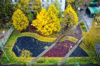 А из моего окна осень рыжая видна... / Московский дворик.