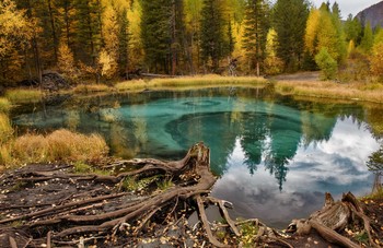 Гейзерное озеро. / Очень подкупили цвета осени и цвет воды снимая этот кадр.. натуральное сочетание цветов у природы.