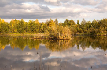 Осенние краски природы. / Маленькое озеро возле деревни.