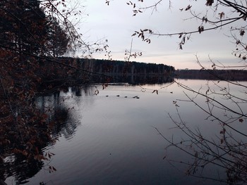 Утром в парке / Красноярский край г.Железногорск