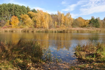 &nbsp; / Природа