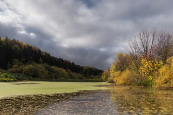 Курья Вятки / Филейуа. Киров.