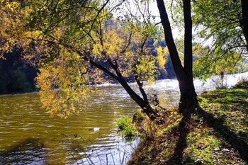конец октября.. / Октябрьский день в контровом свете