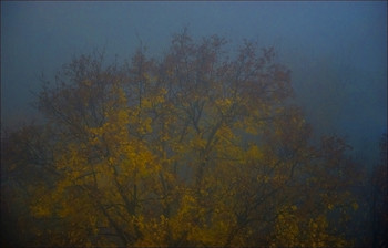 Утренний туман / ...Туман-туман, на прошлом, на былом
Далеко-далеко за туманами наш дом...(с)