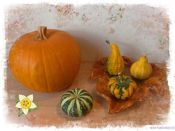 Тыквы / Альбом «Натюрморты»:
http://fotokto.ru/id156888/photo?album=63913
Слайд-шоу "Натюрморты":
https://www.youtube.com/watch?v=PwBxQxTJuas&amp;feature=youtu.be
https://www.youtube.com/watch?v=O-UYOeMUfyQ&amp;feature=youtu.be
https://www.instagram.com/nina.yudicheva/