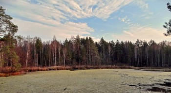 Октябрь подходит к концу / На озере Рясник в октябре