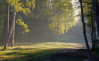 Утреннее.......... / Петербург. Парголово. Май