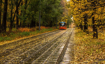 Осенний трамвай / ***
