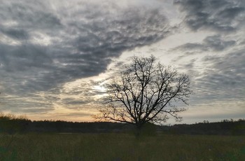 Осенние облака / Утро осени