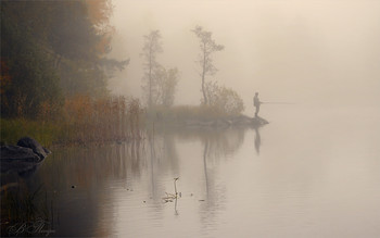 Рыбалка туманным утром / Октябрь 2019